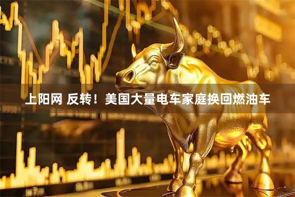 上阳网 反转！美国大量电车家庭换回燃油车