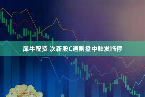 犀牛配资 次新股C通则盘中触发临停