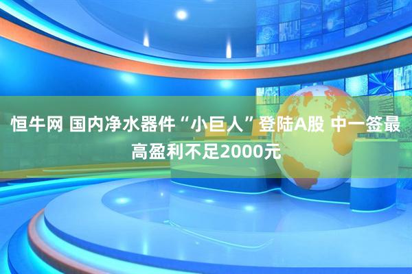 恒牛网 国内净水器件“小巨人”登陆A股 中一签最高盈利不足2000元